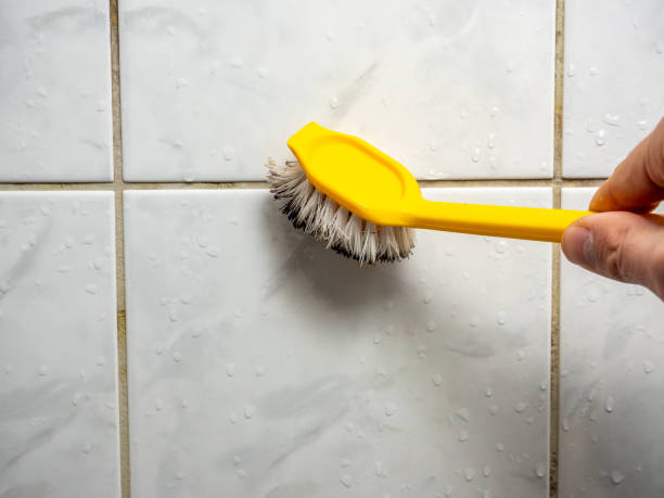 Best Emergency Mold Removal  in North Utica, IL